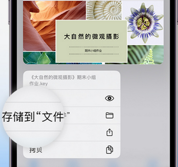 常州apple维修中心分享iPhone文件应用中存储和找到下载文件