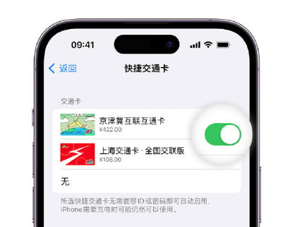 常州apple维修点分享iPhone上更换Apple Pay快捷交通卡手绘卡面 