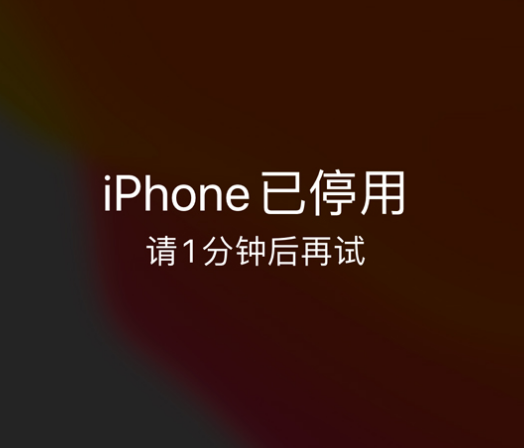 常州苹果手机维修分享:iPhone 显示“不可用”或“已停用”怎么办？还能保留数据吗？ 