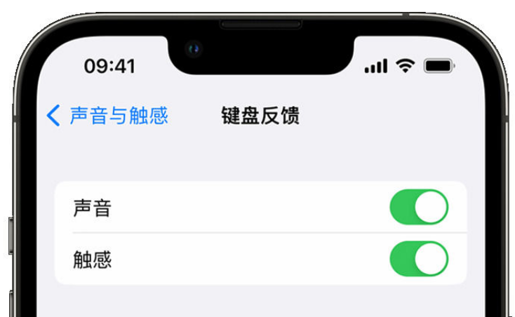 常州苹果手机维修分享iPhone 14触感键盘使用方法 