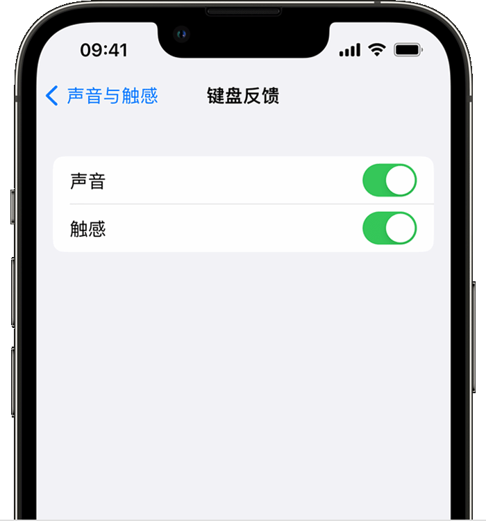 常州苹果14维修店分享如何在 iPhone 14 机型中使用触感键盘 