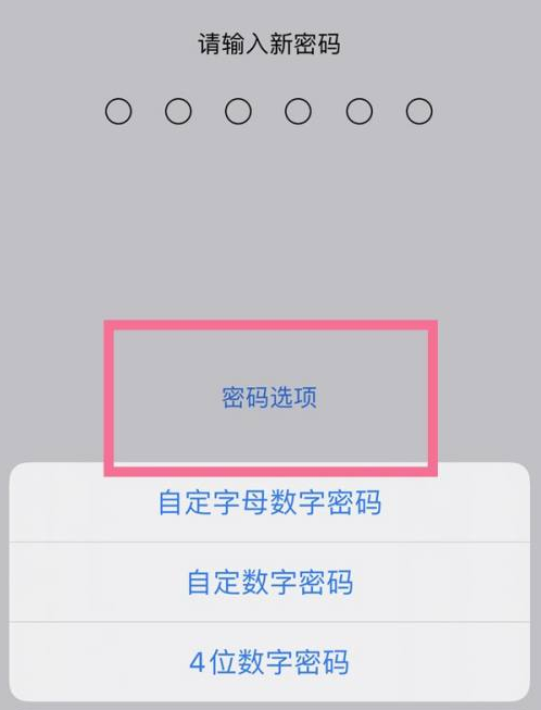 常州苹果14维修分享iPhone 14plus设置密码的方法 