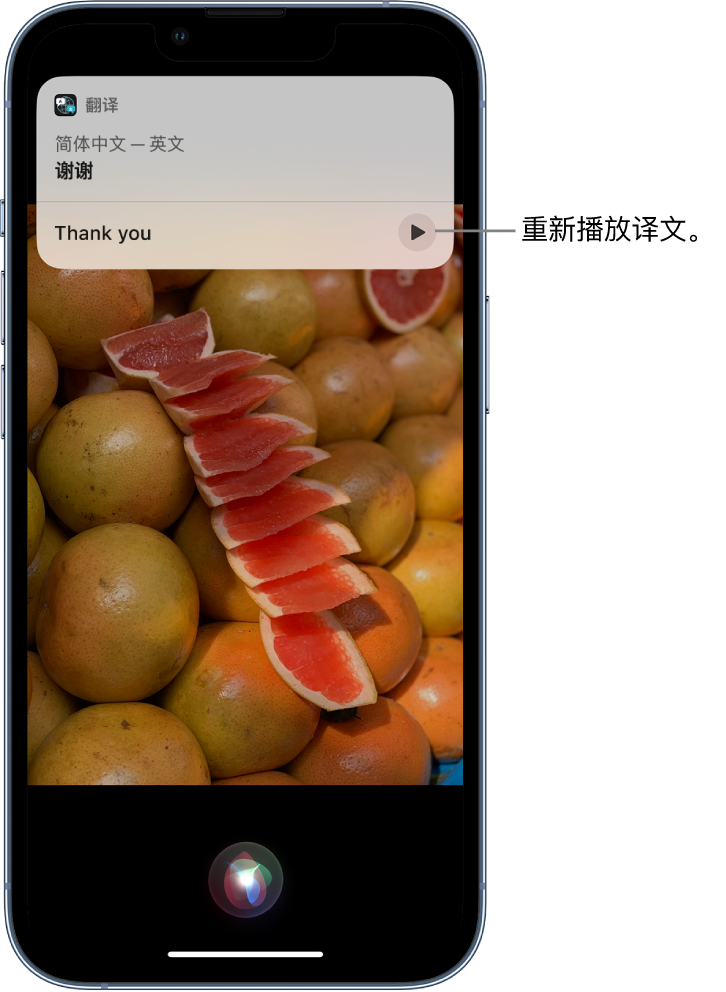 常州苹果14维修分享 iPhone 14 机型中使用 Siri：了解 Siri 能帮你做什么 