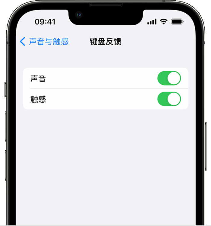 常州苹果14维修分享iPhone 14 系列机型如何开启键盘声音或触感反馈 
