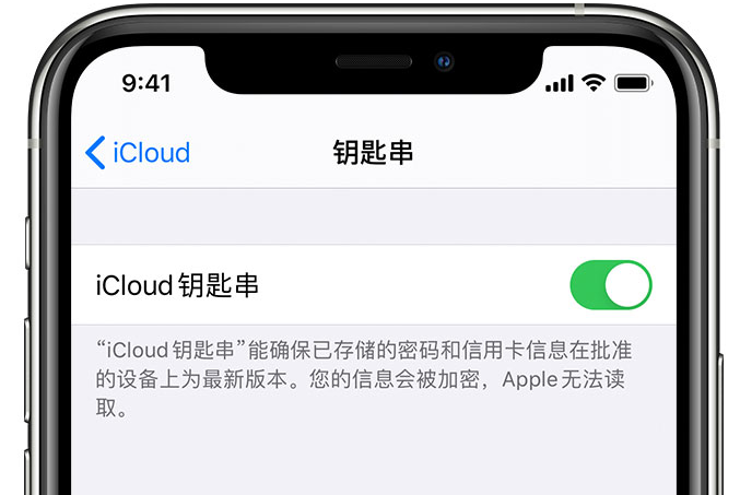 常州苹果手机维修分享在 iPhone 上开启 iCloud 钥匙串之后会储存哪些信息 