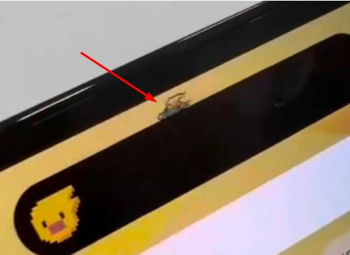常州苹果14维修分享iPhone 14 Pro Max灵动岛怎么养宠物 