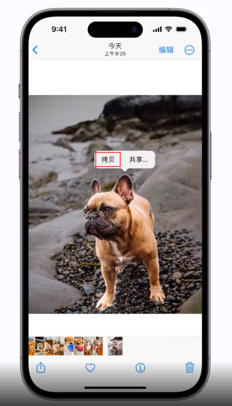 常州苹果手机维修分享 iOS 16 自带一键抠图功能 