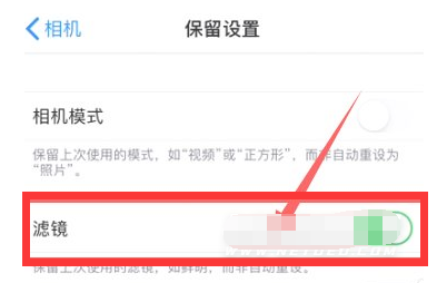 常州苹果13维修分享iPhone13拍照有绿点是怎么回事 