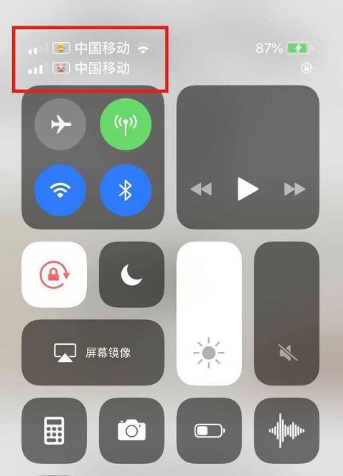常州苹果手机维修分享为 iPhone 12 双卡设置标签 
